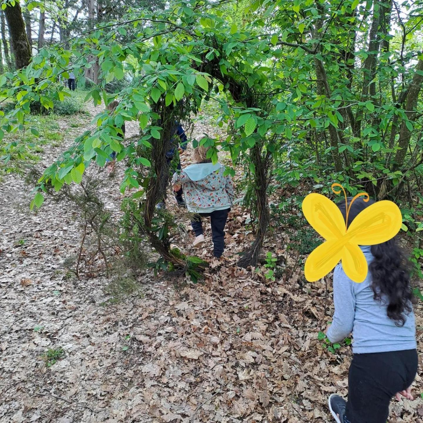Eco Ceiba *