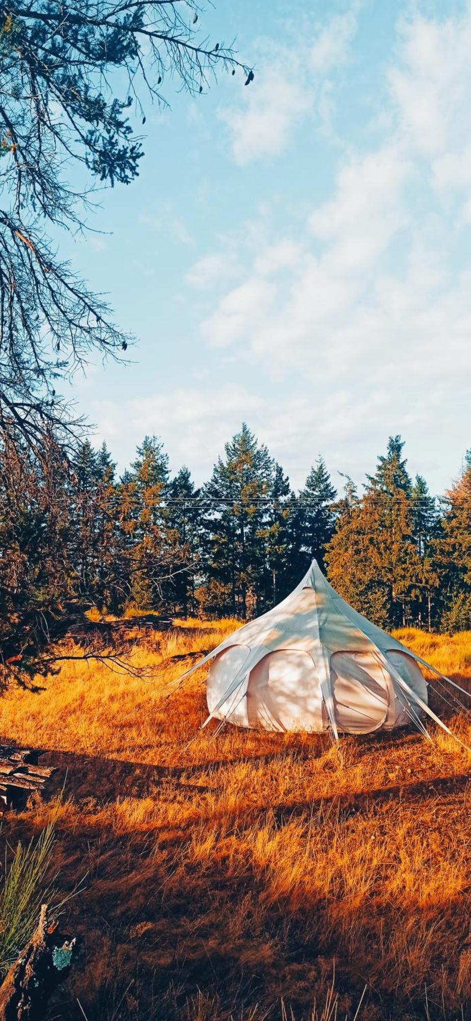 Luxury tent Eco Ceiba Busque