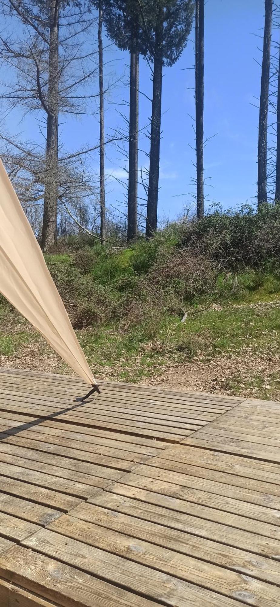 Luxury tent Eco Ceiba Busque