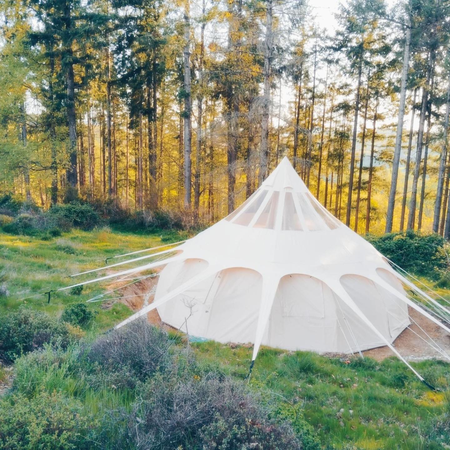 Eco Ceiba Luxury tent Busque