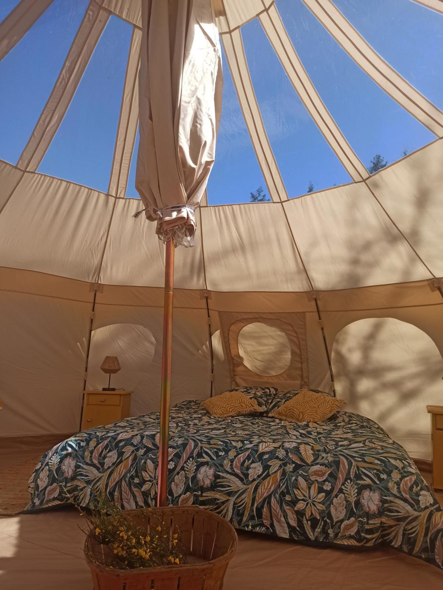 Luxury tent Eco Ceiba