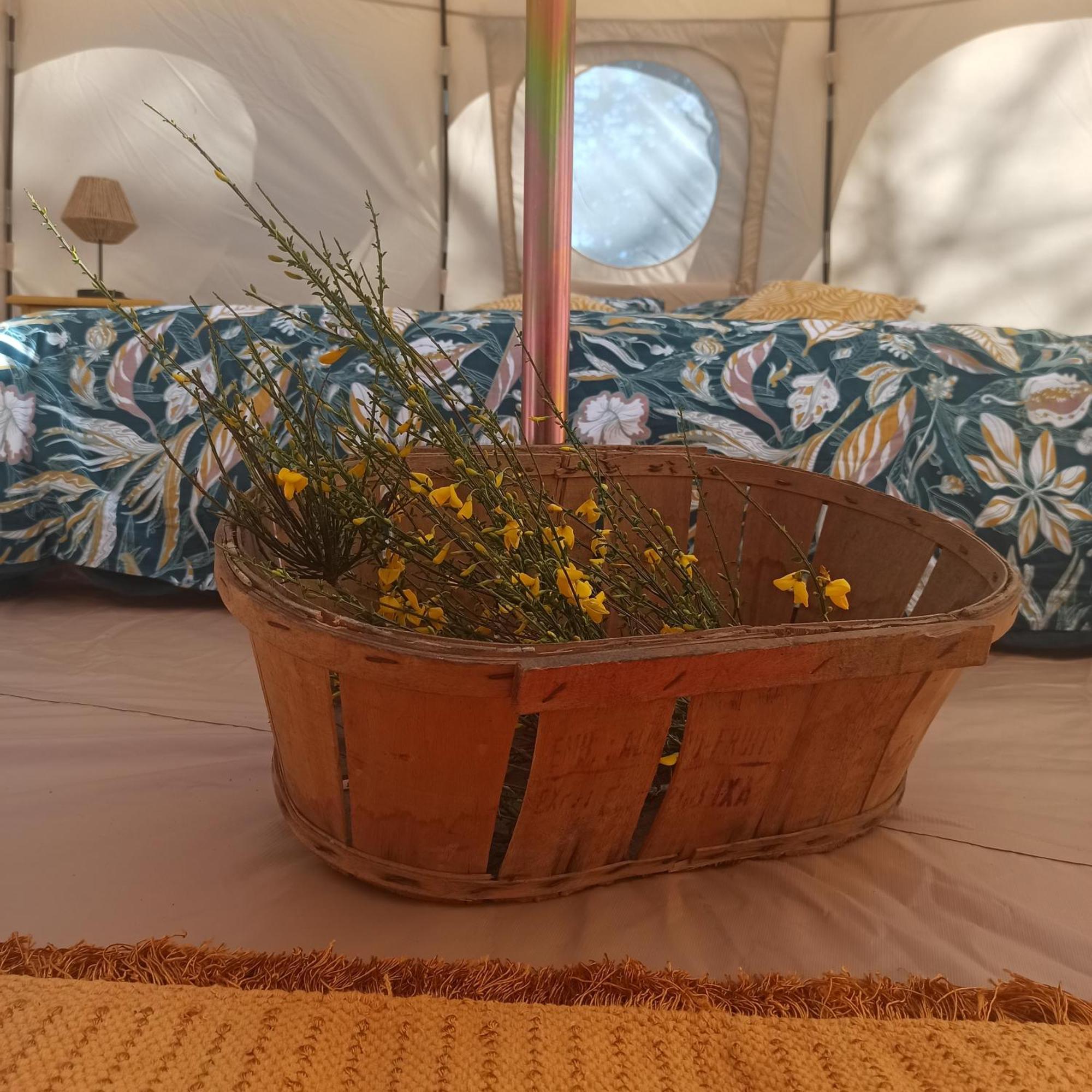 Luxury tent Eco Ceiba